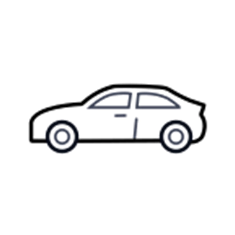 Sri Lanka's Fuel Crisis: Are Chinese Hybrids the Best Solution?